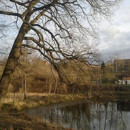 Pałac Rząsiny Gryfów Śląski