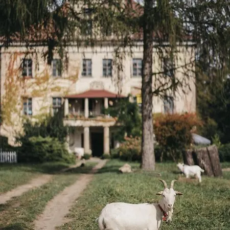 Pałac Rząsiny * Gryfów Śląski