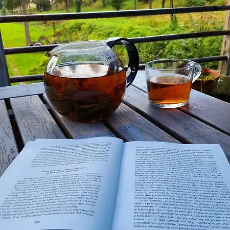 Dom wakacyjny Pałac Rząsiny *