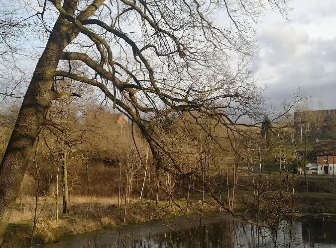 Palac Rzasiny Gryfów Śląski