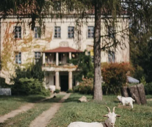 Palac Rzasiny * Gryfów Śląski