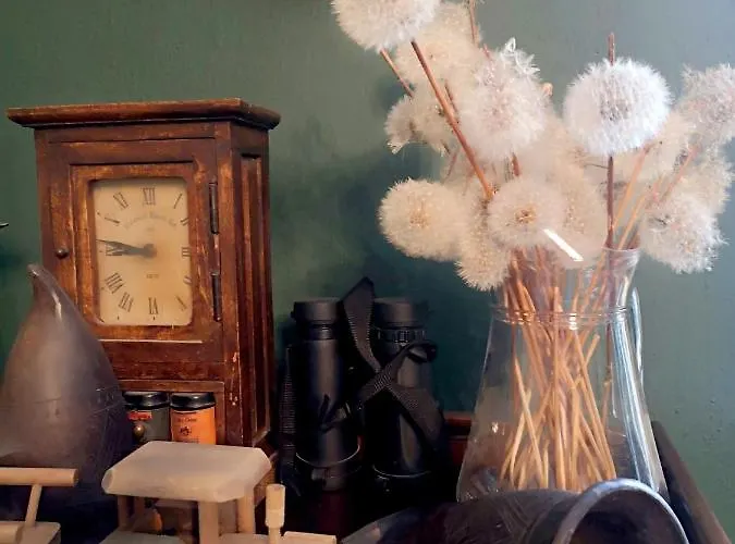 Palac Rzasiny * Gryfów Śląski